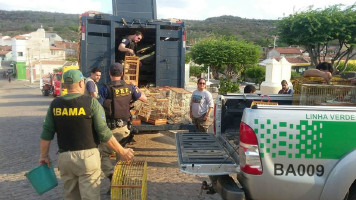 Mais de 1800 animais foram retirados do cárcere na região de Paulo Afonso