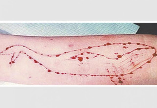 Baleia Azul: Polícia Civil começa a desvendar rastros de quadrilha