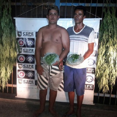 Dupla é presa por cultivo e tráfico de drogas em Antas-BA
