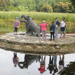Projeto do Balneário será apresentado ao trade turístico