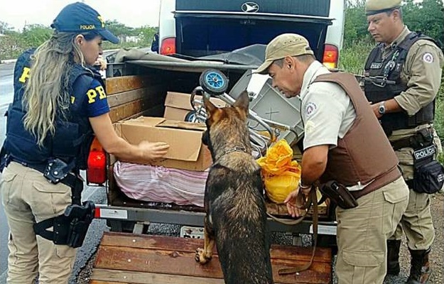 Integração das forças policiais de segurança pública é uma realidade em Paulo Afonso, afirma comandante