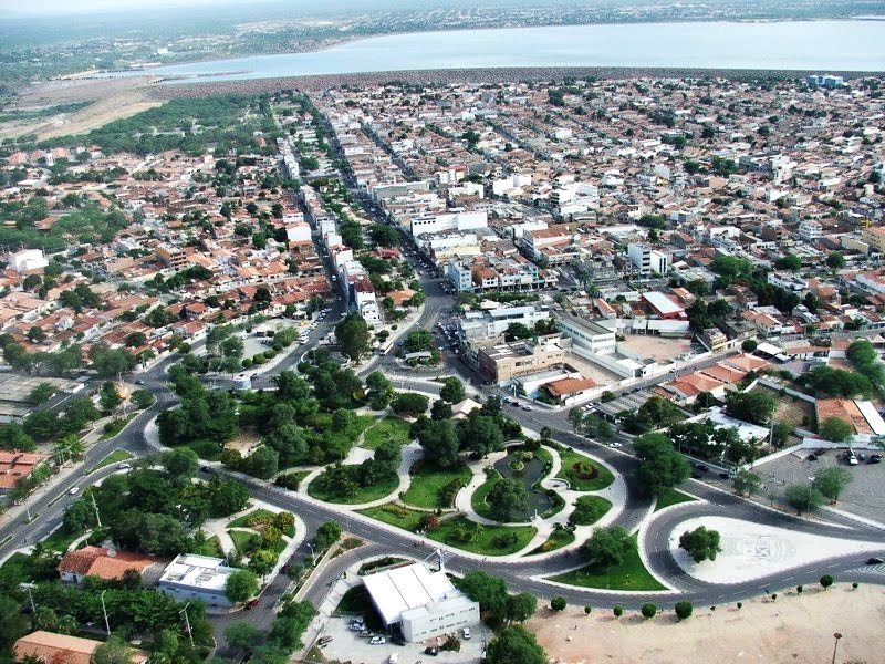 Uma história sobre Luiz de Deus e o amor do povo de Paulo Afonso pelas árvores