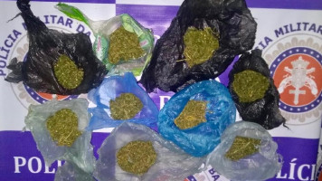 Policiais de Paulo Afonso apreendem várias petecas grandes de maconha em Abaré