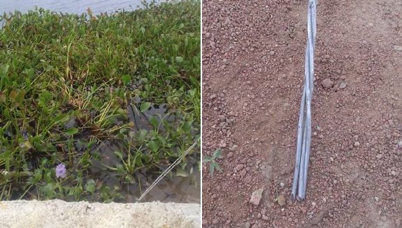 “Não é culpa da Prefeitura”, diz secretário sobre as baronesas no rio e após cabo se romper