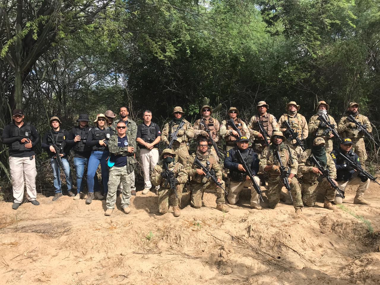 PC, PM e PRF erradicam 1.400 pés de maconha