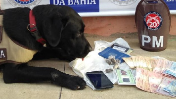 Cadela Laika do 20º BPM entra novamente em ação na apreensão de drogas em Paulo Afonso