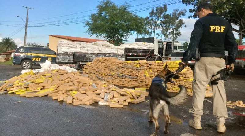 PRF na Bahia apreende 6,5 toneladas de drogas no primeiro semestre de 2019