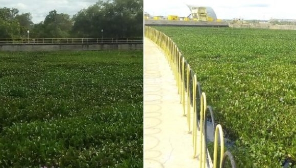 Baronesas em PA: MPF pede condenação da Chesf, Embasa, Prefeitura e outros órgãos ao pagamento de R$ 20 milhões