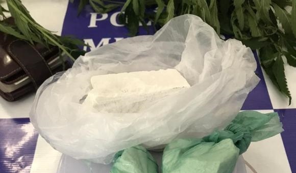 Polícia Militar prende três homens com cocaína e pé de maconha em quintal de casa em Paulo Afonso
