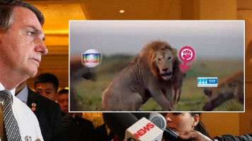 Francisco Nery Júnior: A Fábula de Bolsonaro