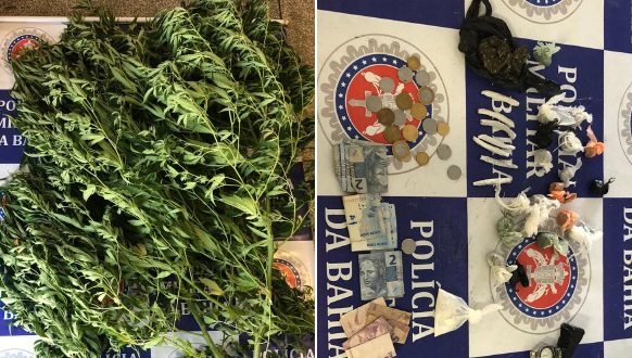 GTM prende “Maradona” por tráfico de drogas após encontrar plantio de maconha em sua casa no BTN III