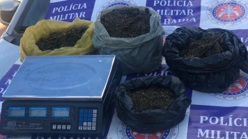 Dono de bar é preso com sacolas de maconha natural na área rural de Glória, BA