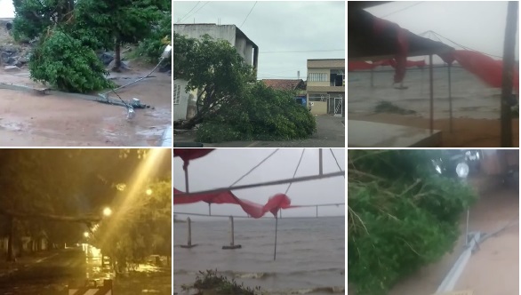 Chuvas e ventos derrubam árvores e até poste de energia elétrica em Paulo Afonso; veja fotos e vídeos
