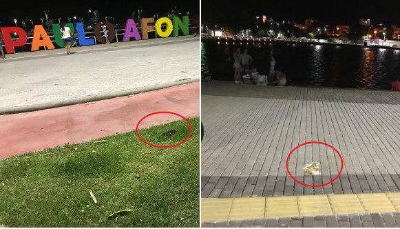 Flagrante: usuários reclamam de cocô de cachorros no Parque Balneário; prefeitura faz apelo