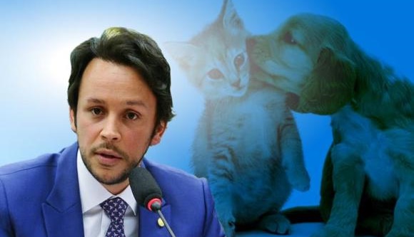 Emenda que permite doação de alimentos para cães e gatos em abandono é aprovada por Mário Júnior