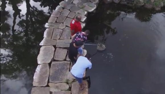 Artistas e empresários de Paulo Afonso se unem em ação ambiental no Parque Belvedere