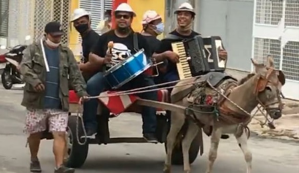 “Chama a Nasa!”, diz Tirulipa ao postar vídeo do ‘jegue elétrico’ nas ruas de Paulo Afonso (Vídeos)