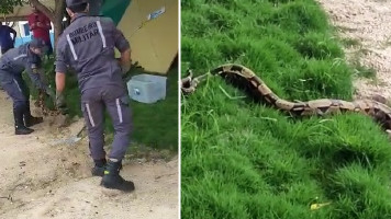 Bombeiros resgatam cobra às margens do Balneário Prainha, em Paulo Afonso (Vídeos)