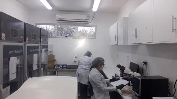Com mais 22 infectados em 24h, Paulo Afonso acumula 526 casos; governo do Estado registra 616