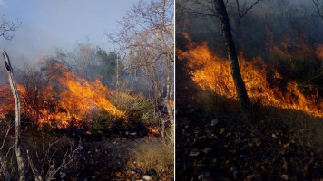 Incêndio de grandes proporções atinge há 3 dias vegetação na comunidade de Marruá, em Macururé