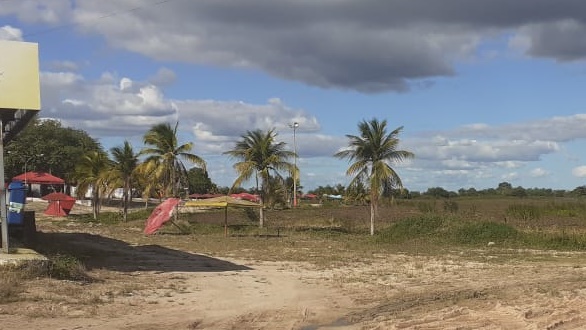 Paulo Afonso: Em um ano, contratos para remoção de baronesas passam de R$ 3,5 milhões