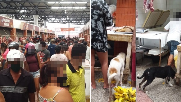 Vídeo e fotos flagram aglomeração no Ceasa do BTN e muitos cães dentro do mercado de carne; veja