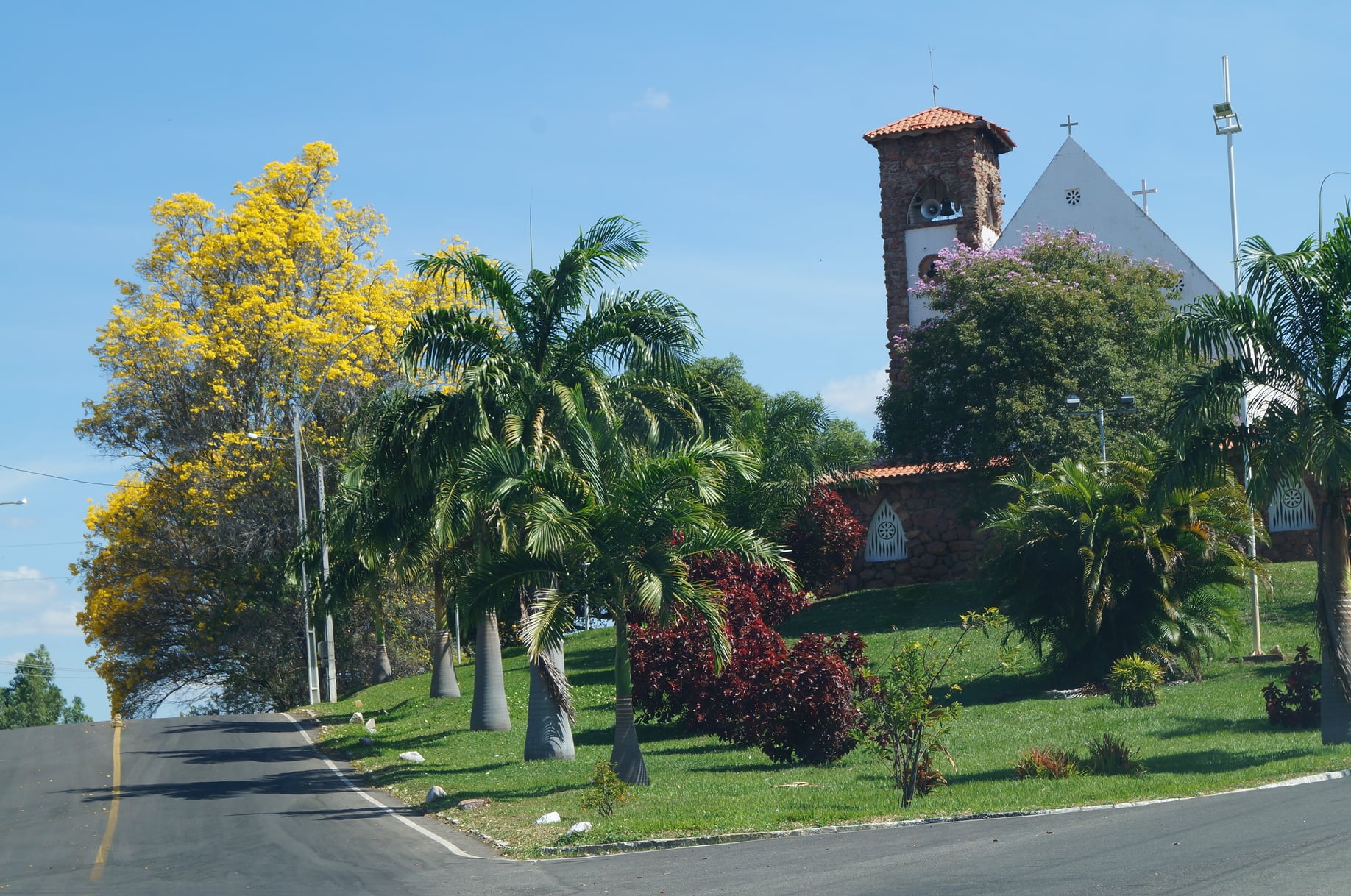 Paulo Afonso: das muitas cores de outubro, o amarelo das caraibeiras se destaca na paisagem