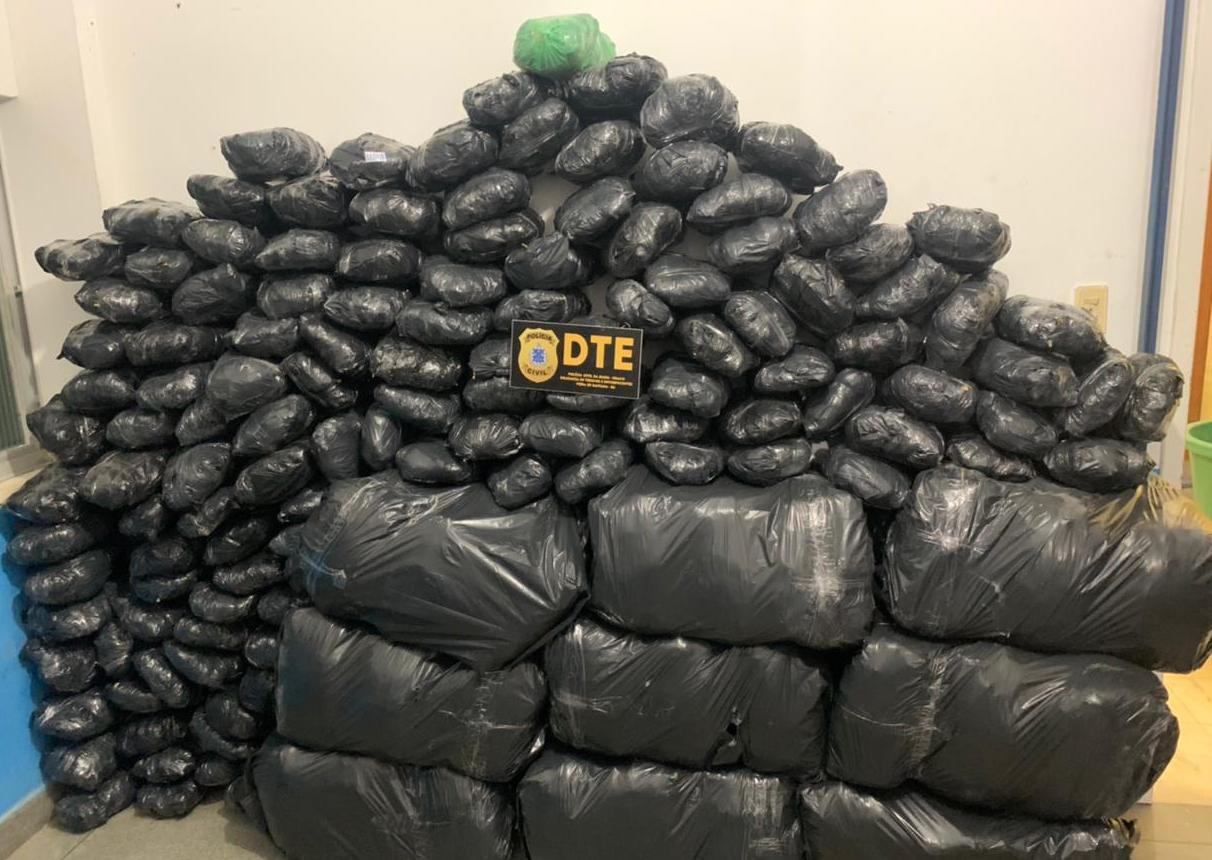 Maconha estimada em meio milhão de reais seria distribuída em Feira de Santana
