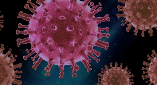 Paraíba confirma variante mais contagiosa do coronavírus em circulação no estado