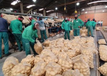 Bahia cria mais de 10 mil postos de trabalho em maio e segue líder de geração no Nordeste