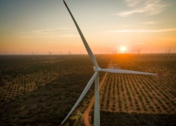 MP-BA recomenda suspensão da instalação de parque eólico em Canudos perto de habitat de arara-azul-de-lear