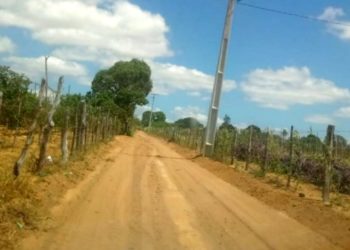 CRÔNICA – Três experiências de vida ou morte no sertão da Bahia (Francisco Nery Júnior)