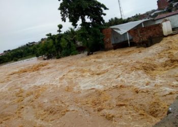 Felipe Neto anuncia doação de R$ 100 mil para cidades da BA atingidas pela chuva; Whindersson comenta nas redes sociais