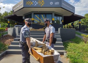 Polícia apreende quase 120 tabletes de droga em caixão dentro de carro funerário em SP; veja vídeo