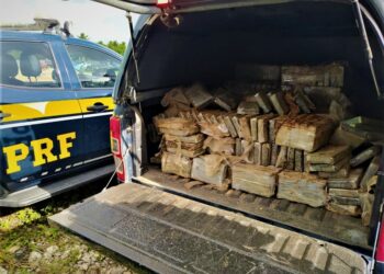 PRF na Bahia apreende quase 500 quilos de cocaína e dá prejuízo de R$ 88 milhões ao crime organizado