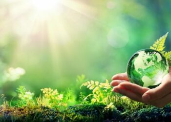 CRÔNICA – Semana do Meio Ambiente, belo exemplo de iniciativa – com acabativa! (Francisco Nery Júnior)