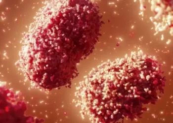 Bahia investiga primeiro caso suspeito da varíola dos macacos