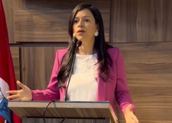 “A prefeitura precisa garantir a manutenção de todos os serviços do HMPA”, diz Evinha sobre nova OS