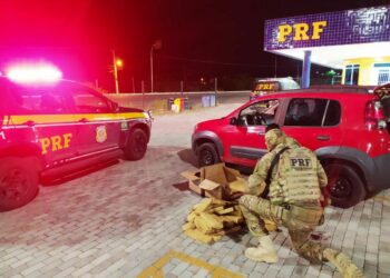 Motorista por aplicativo é preso ao tentar transportar 51 Kg de maconha de Paulo Afonso (BA) até Aracaju (SE)