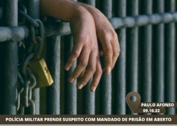 Após revista, celulares e 31 trouxinhas de maconha são encontrados em cela do presídio de Paulo Afonso