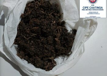 Após revista, celulares e 31 trouxinhas de maconha são encontrados em cela do presídio de Paulo Afonso