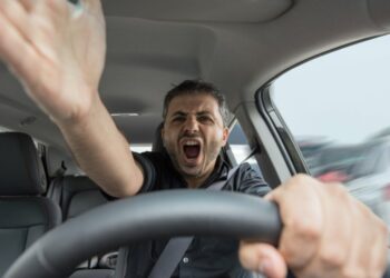 CRÔNICA – O palavrão, inevitável palavrão (Francisco Nery Júnior)