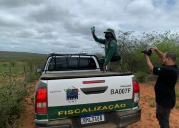Caatinga está sendo dizimada na região de Santa Brígida e Jeremoabo, alerta FPI