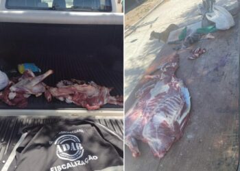 Fiscalização constata abate clandestino e apreende 14kg de carne vendida e exposta de forma irregular em Glória-BA