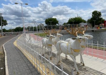 Paulo Afonso: Natal Encantado tem início neste domingo (27) com a chegada do Papai Noel; veja programação completa