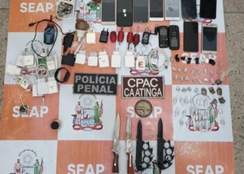 Celulares, drogas e objetos perfurantes são apreendidos em revista no presídio de Paulo Afonso