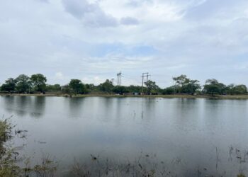 Lago do Obelisco localizado ao lado do Parque Belvedere volta a ficar cheio