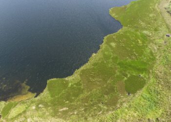 Baronesas: FPI identifica proliferação e movimentação que pode comprometer a geração de energia elétrica, a piscicultura e o abastecimento de água 