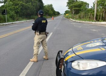 PRF recupera veículo clonado durante abordagem na BR 110, em Paulo Afonso