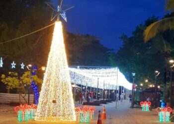 A esperança se renova – Vem o Natal (Francisco Nery Júnior)